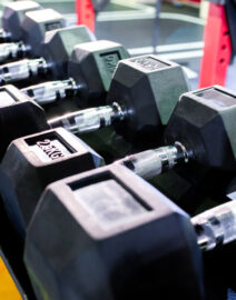 Dumbbells lying on the shelves. Gym. Equipment for a sports hall.